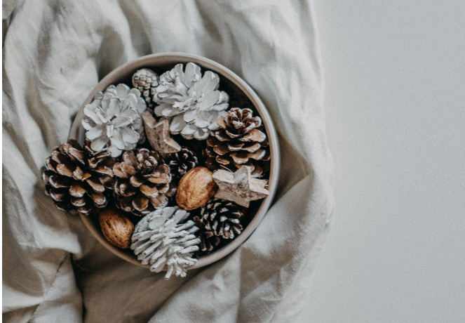 Scented Pine Cones