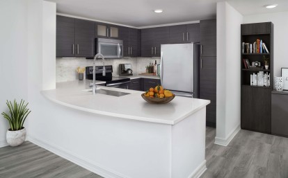 Kitchen with quartz countertops, stainless steel appliances, and undermount sink at Camden Brickell apartments in Miami, FL