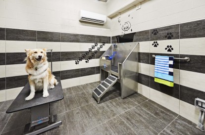 Private dog spa at Camden Lincoln Station Apartments in Lone Tree, CO