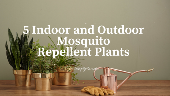 Mosquito repellent deals indoor