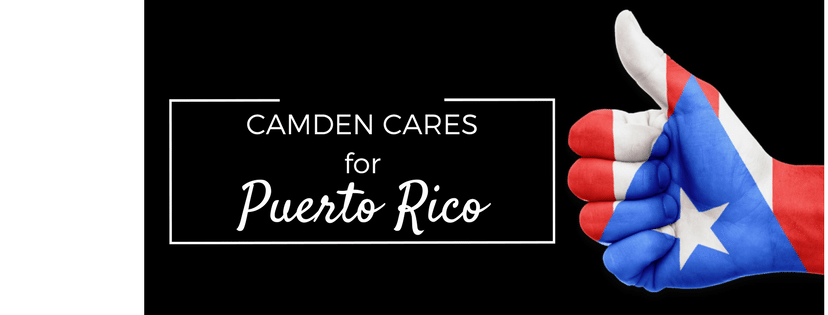 Photo courtesy of canva
