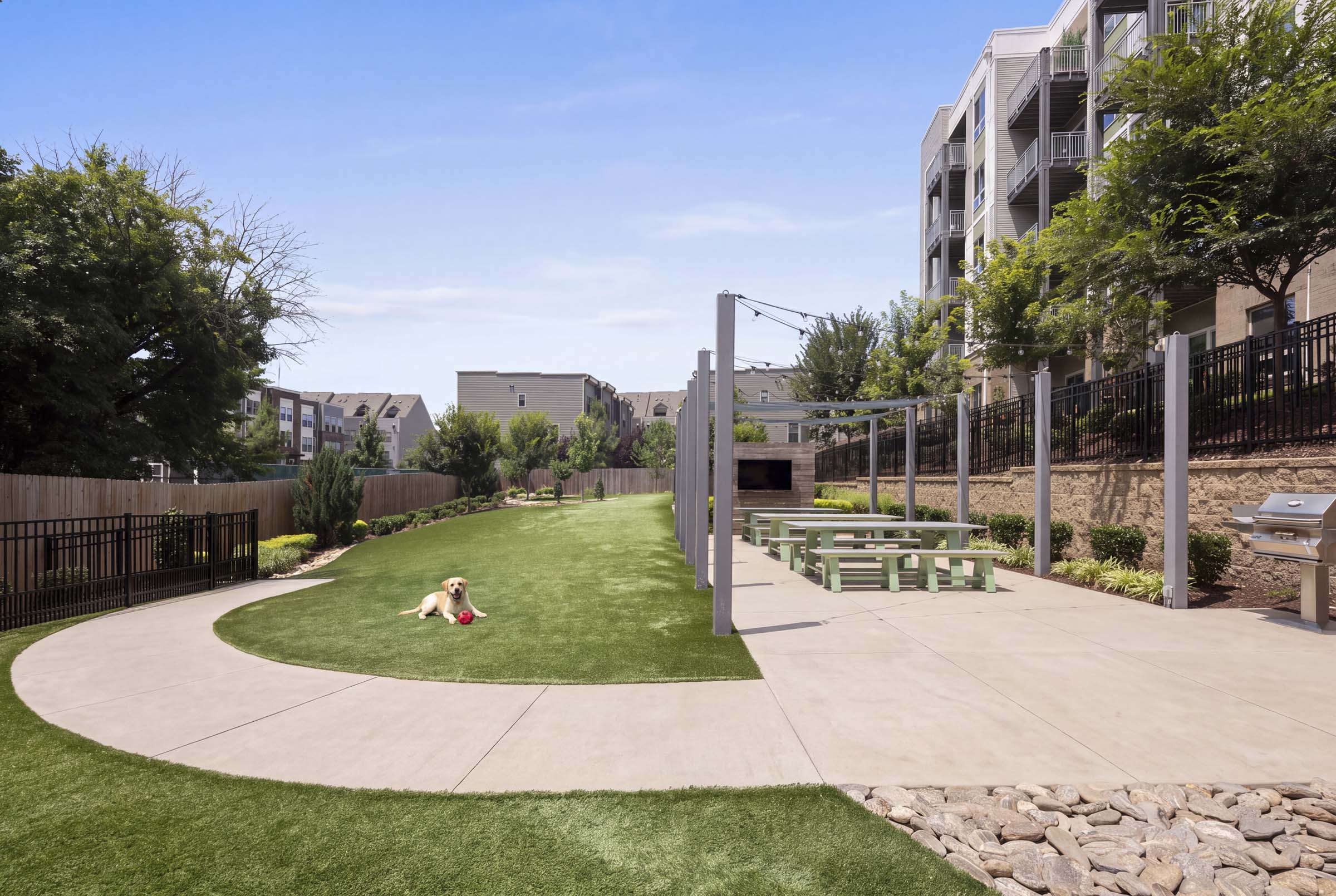 Let your furry friends thrive at the dog park at Camden LoSo apartments in Charlotte, NC
