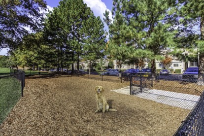 Off leash gated dog park