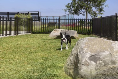 Camden Hillcrest Apartments San Diego CA private enclosed off-leash dog park with rocks