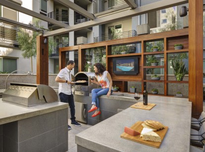 Outdoor grill and entertainment area