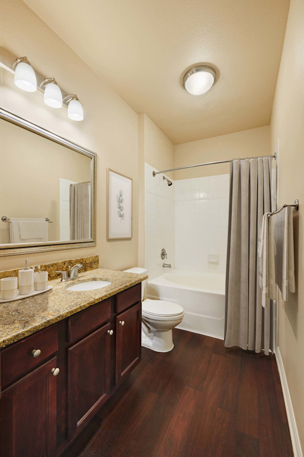 Bathroom with granite countertop and bathtub at Camden Brushy Creek apartments in Cedar Park, TX