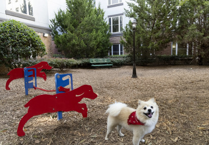 Fenced, community dog park at Camden Vantage