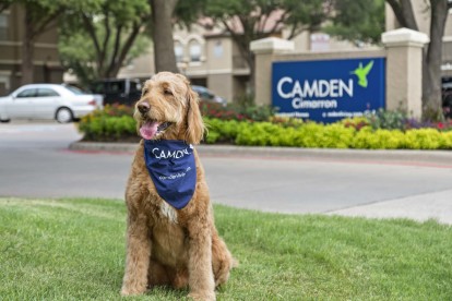 Dog model in front of Camden Cimarron sign