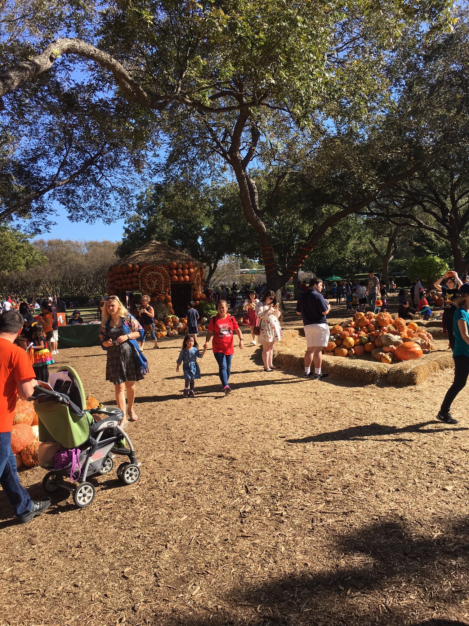 pumpkin village