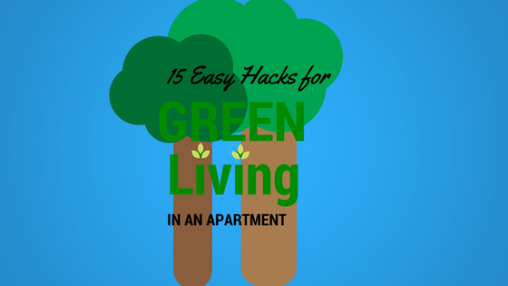15 Ways to Save Energy in Your Apartment Now | camdenliving.com | Katie ... - Easy Ways To Save Energy In Small Apartments