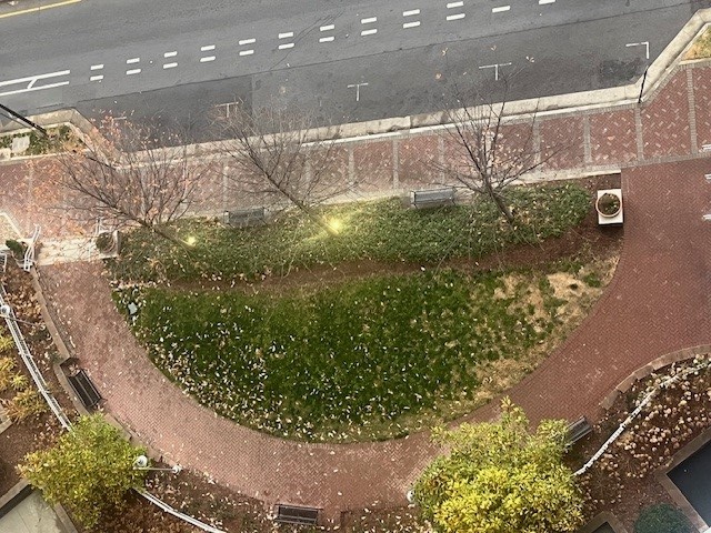 Aerial view of Camden Music Row courtyard in the winter.