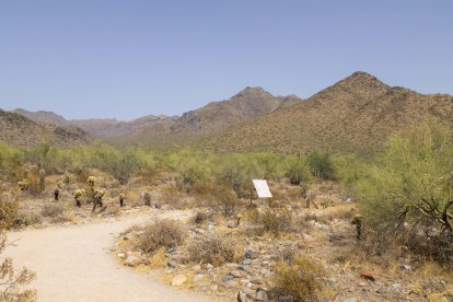 Neighborhood hiking trail