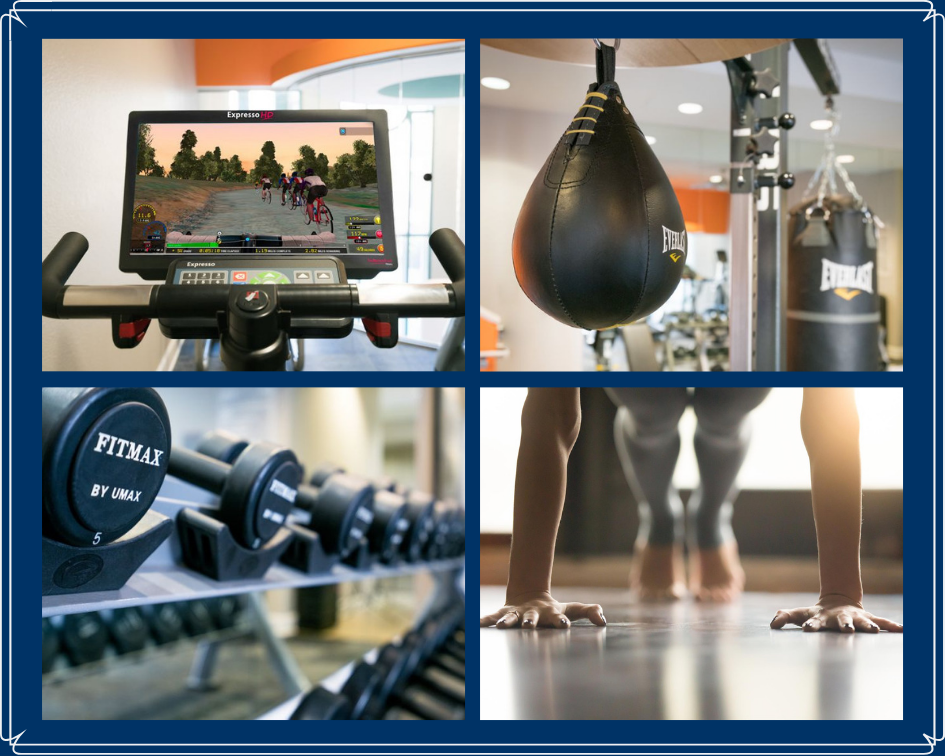 Fitness Equipment