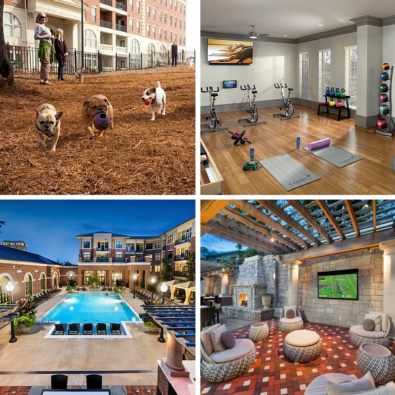 Camden Paces amenities in Atlanta, GA dog park-gym-pool