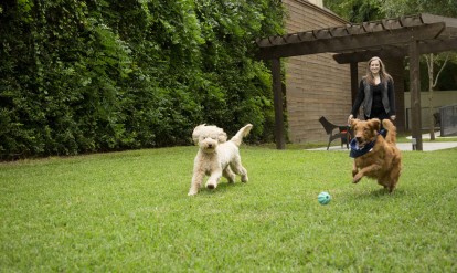 Large landscaped onsite private dog park