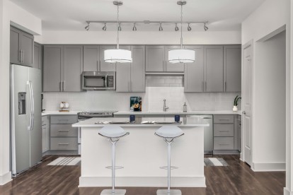 Large kitchen grey design scope with island