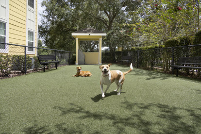 A dog park for your pets to run at Camden Montague apartments in Tampa, Florida.