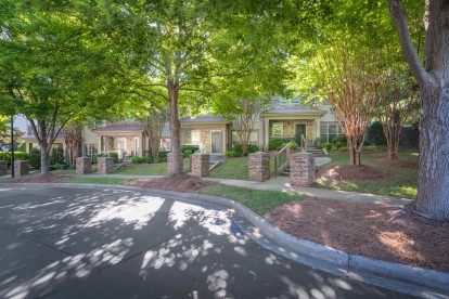 Tree lined entrance