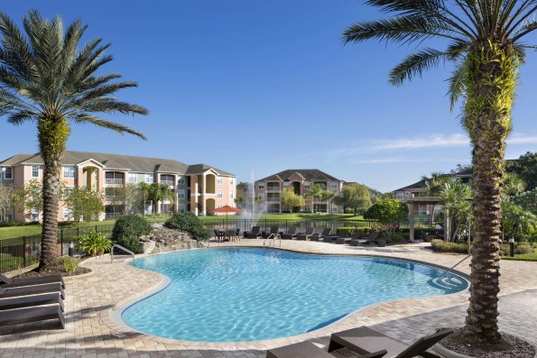 Pool with sundeck surrounded by beautiful palm trees