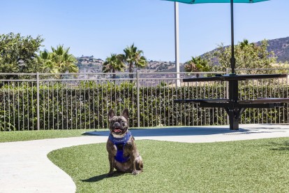 Private off leash dog park pet friendly apartments