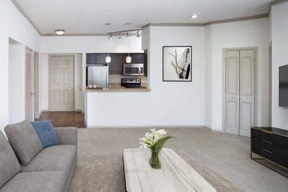 Large open kitchen and living room