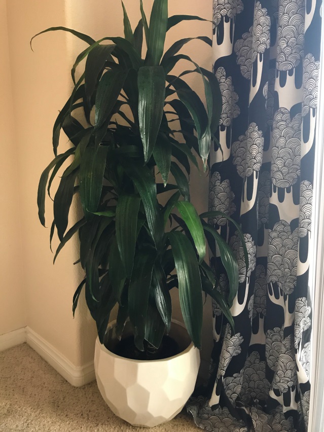pillar storage space decorating solution