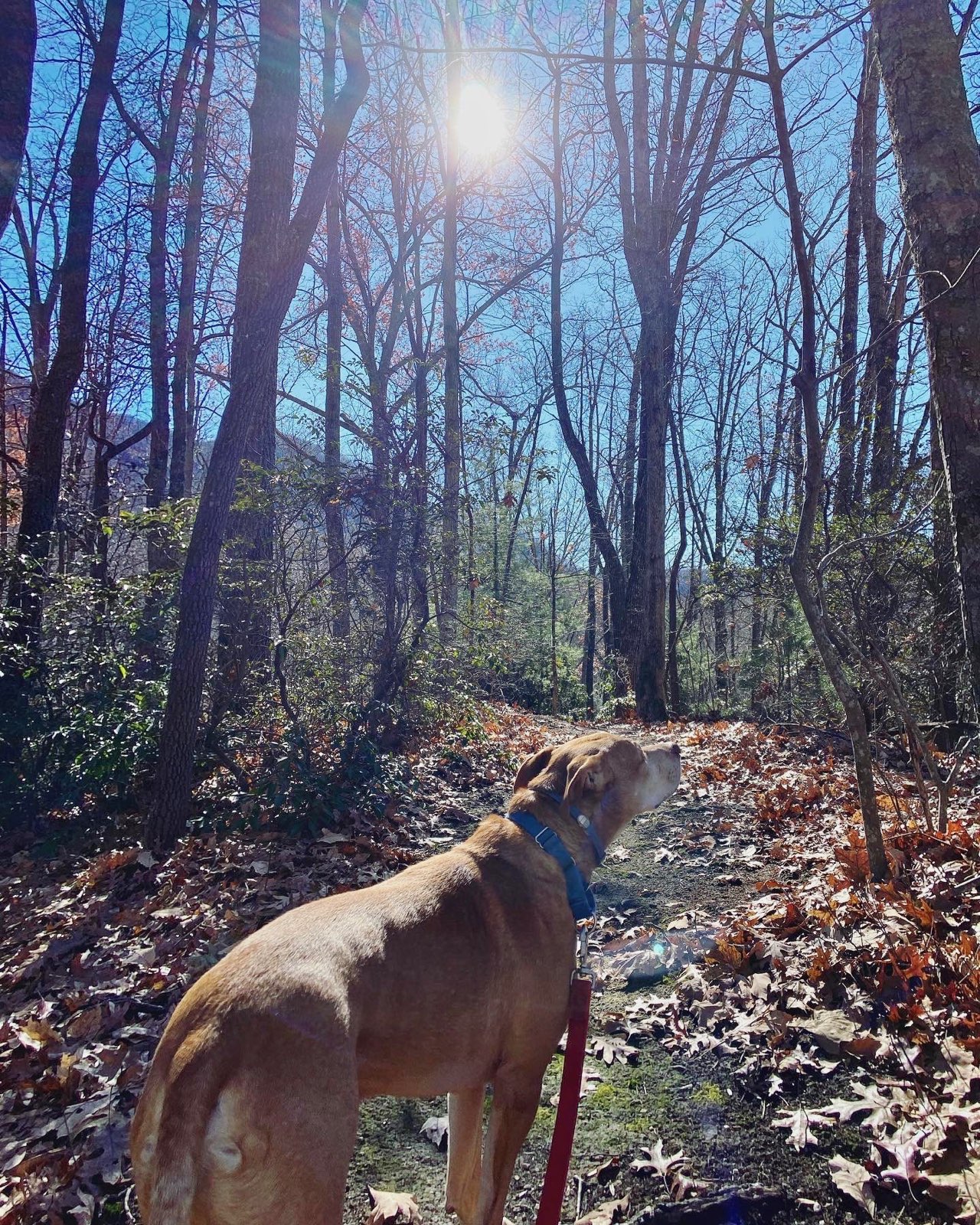 Hiking with Doug