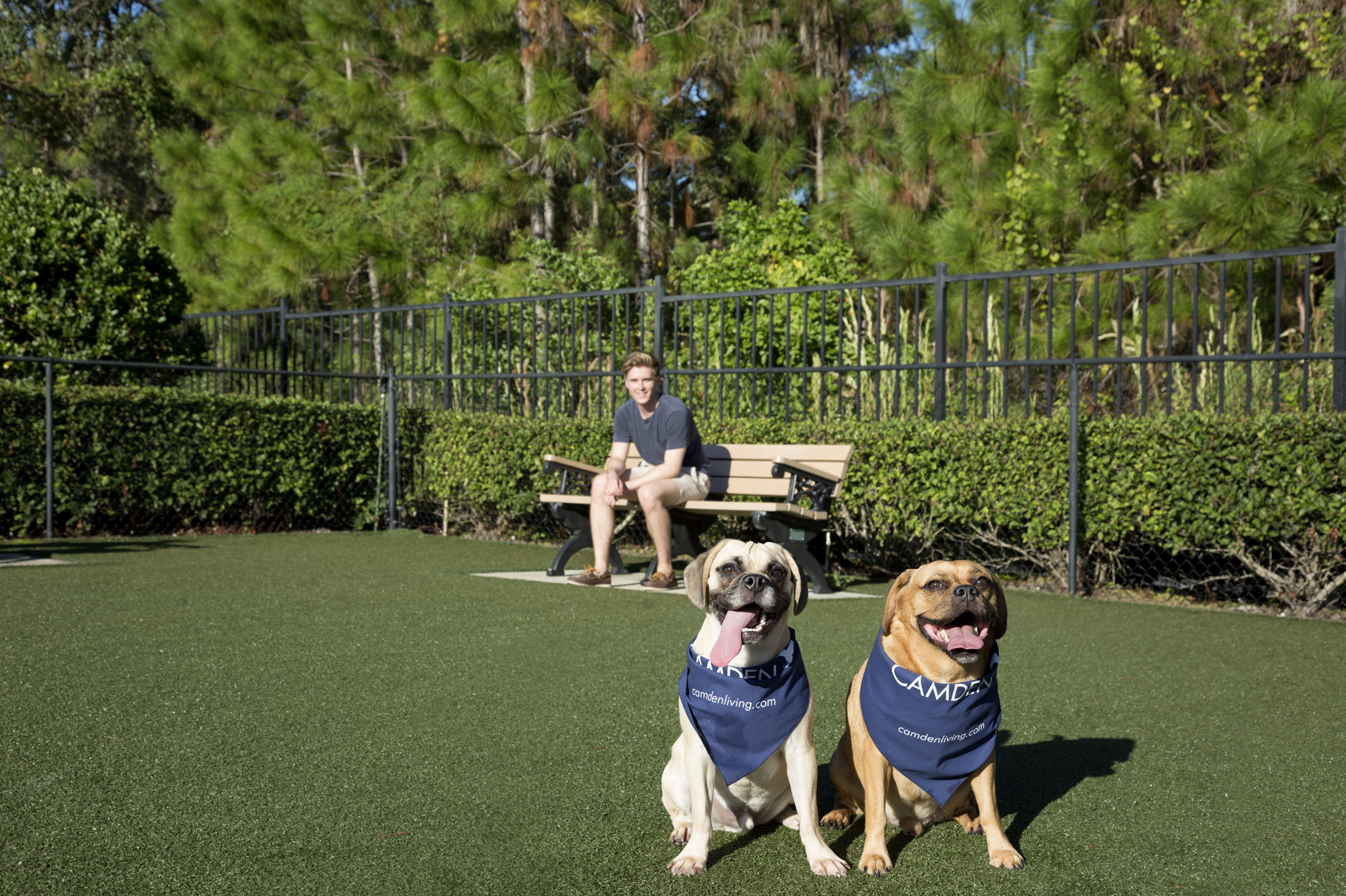 camden-westchase-park-apartments-tampa-florida-dog-park-pet-friendly.jpg