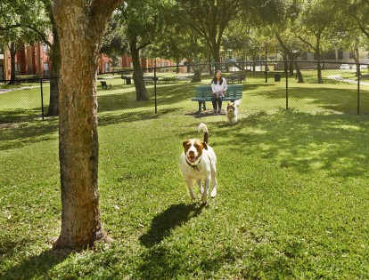 Fenced dog park