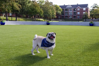 Dog Park at Camden Vanderbilt Apartments in Houston, Texas