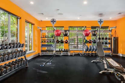 Fitness center with free weights medicine balls trx ropes and boxing bag