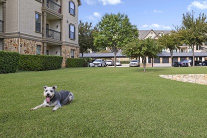 Dog model laying on the grass outside a building at Camden Riverwalk