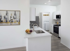 Modern style kitchen with quartz countertops, stainless steel appliances, and wood-look flooring throughout at Camden Royal Palms apartments in Brandon, FL