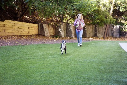 Off leash dog park