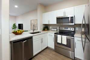Kitchen stainless steel appliances and quartz countertops