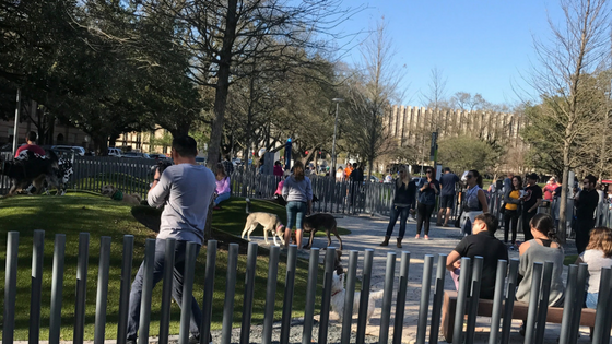 Levy Park in Houston