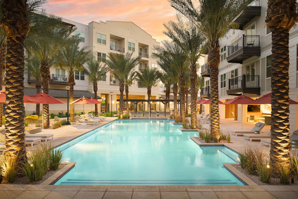 Oasis-style pool lined with palm trees in the evening at Camden Gilbert apartment homes in Gilbert, AZ