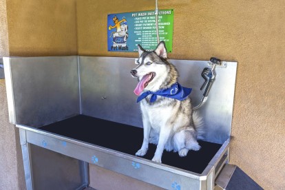 Dog friendly private covered outdoor pet washing station