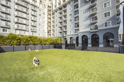 Camden Harbor View Apartments Long Becah CA Private Off Leash Dog Park with Turf 