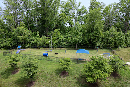 Onsite large dog park at Camden Franklin Park