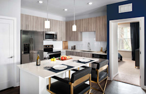 Camden Lake Buena Vista apartments in Orlando, FL kitchen