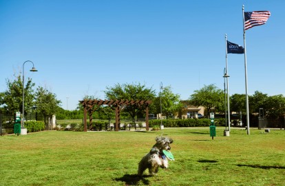 Dog park with outdoor covered seating