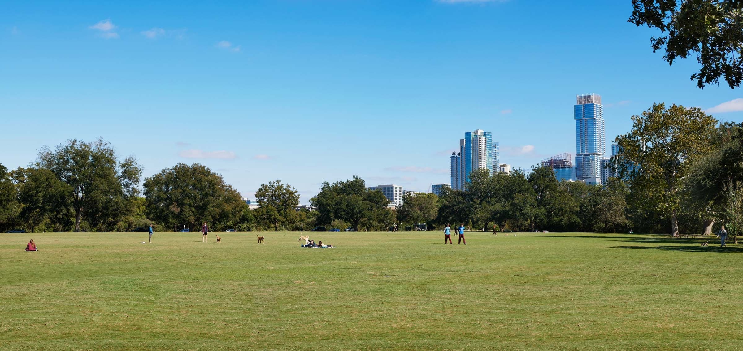 Zilker park with skyline views near community