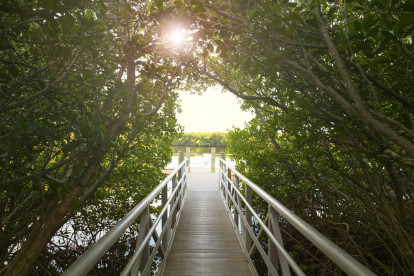 Boardwalk at Upper Tampa Bay Park in Tampa, FL near Camden Bay, Camden Westchase Park, and Camden Montague