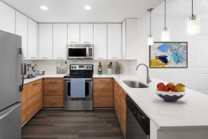 Bright Kitchens with Stainless Steel Appliances