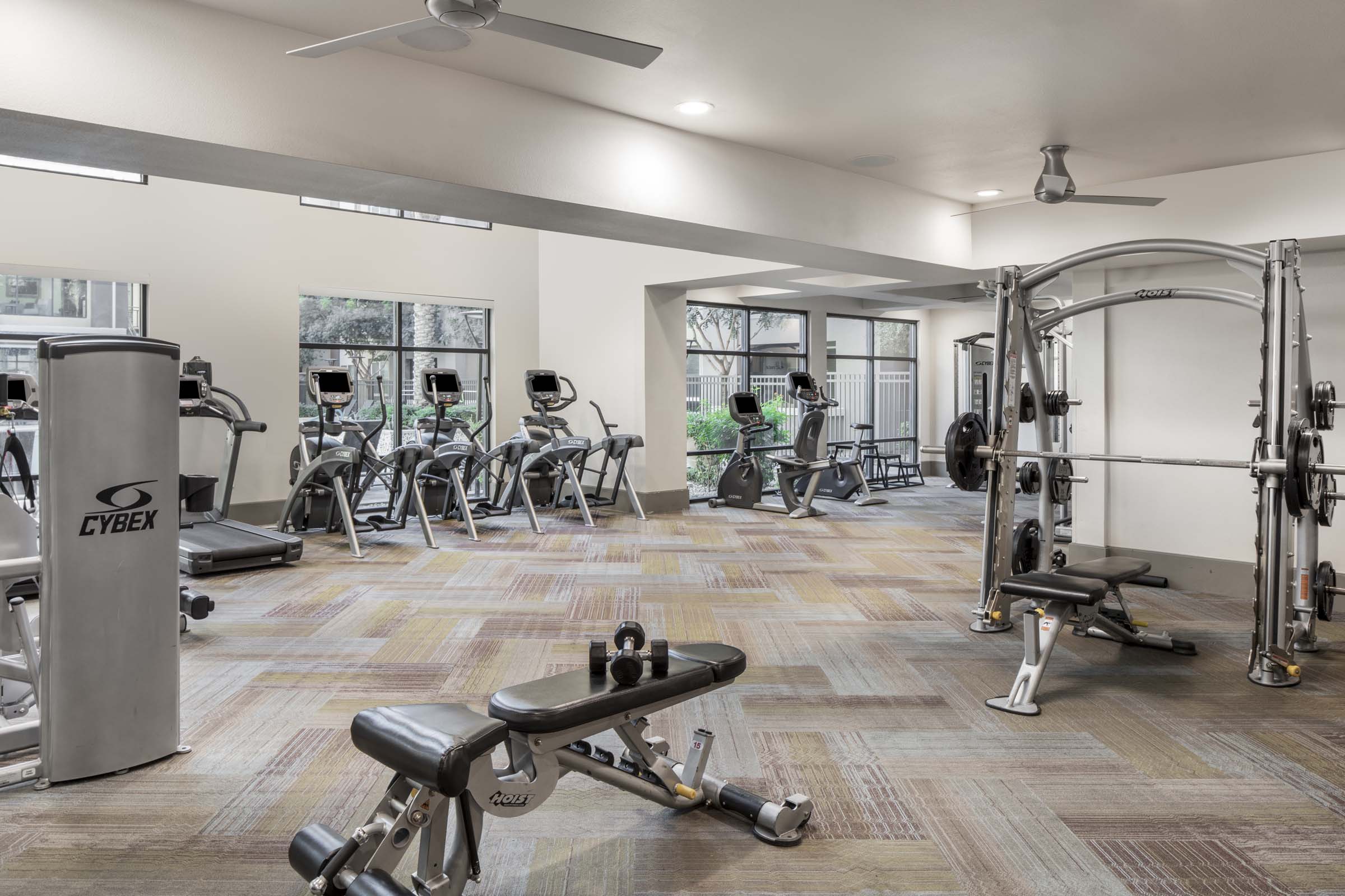 Camden Tempe Apartments Tempe Arizona 24-Hour Fitness Center with Dumbbells, Strength Training Machines, and Cardio with Floor to Ceiling Windows