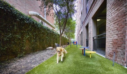 Fenced dog run at Camden Plaza Apartments in Houston, TX 