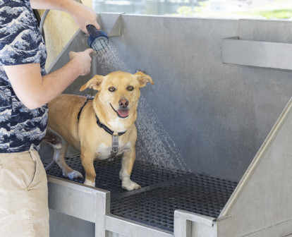 No need to bend over the bathtub to get your dog clean. You and your pet will love the dog washing station.