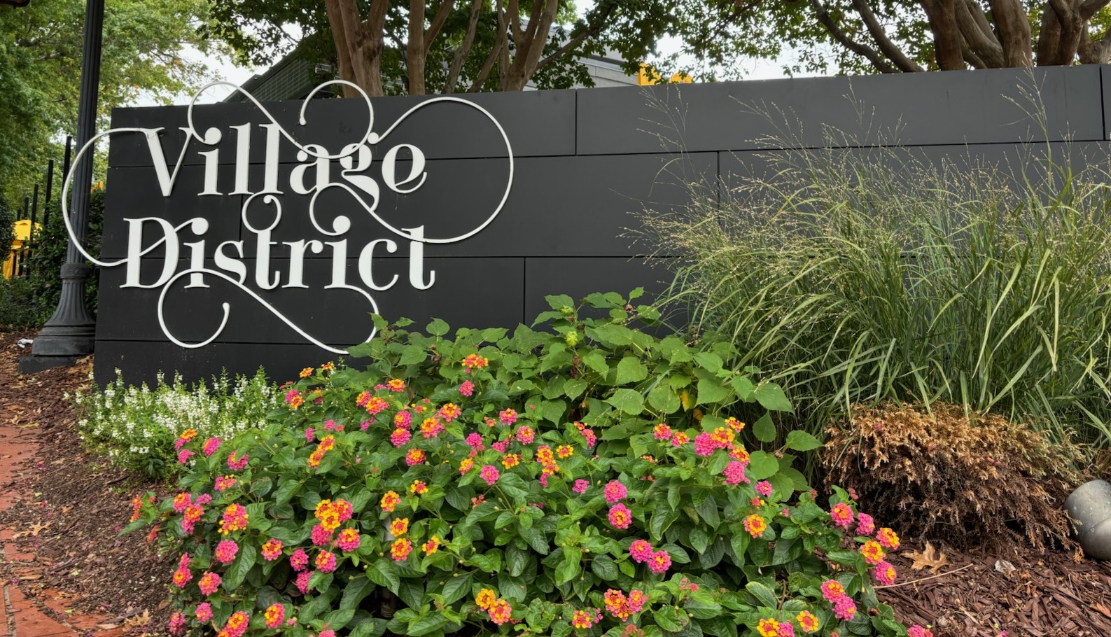 Photo courtesy of Drew Swinford