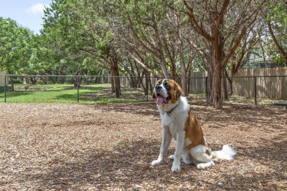 Private, gated dog park onsite at Camden Brushy Creek in Austin, TX